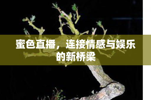 蜜色直播，连接情感与娱乐的新桥梁