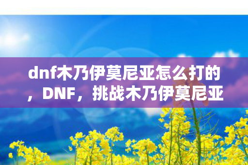 dnf木乃伊莫尼亚怎么打的，DNF，挑战木乃伊莫尼亚的攻略指南