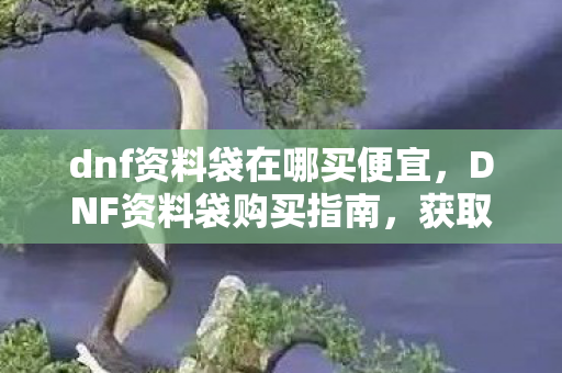dnf资料袋在哪买便宜，DNF资料袋购买指南，获取游戏资料必备攻略