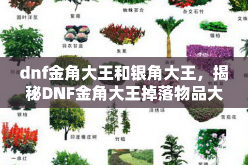 dnf金角大王和银角大王，揭秘DNF金角大王掉落物品大揭秘