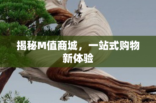 揭秘M值商城，一站式购物新体验