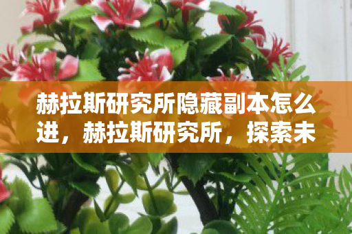 赫拉斯研究所隐藏副本怎么进，赫拉斯研究所，探索未知领域的先锋力量