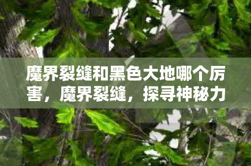 魔界裂缝和黑色大地哪个厉害，魔界裂缝，探寻神秘力量的无尽奥秘