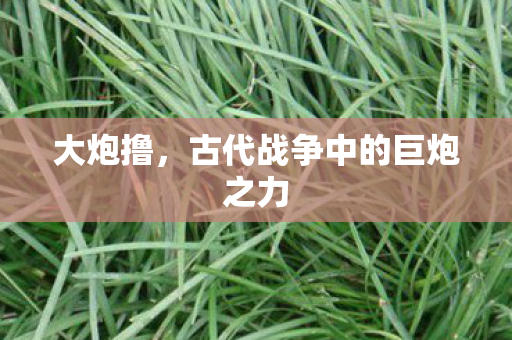大炮撸，古代战争中的巨炮之力