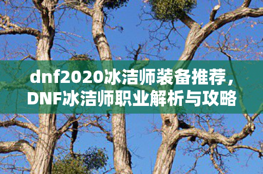 dnf2020冰洁师装备推荐，DNF冰洁师职业解析与攻略分享