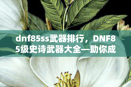 dnf85ss武器排行，DNF85级史诗武器大全—助你成为战场上的霸主