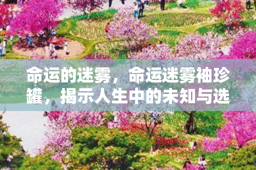 命运的迷雾，命运迷雾袖珍罐，揭示人生中的未知与选择