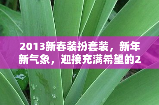 2013新春装扮套装，新年新气象，迎接充满希望的2013年