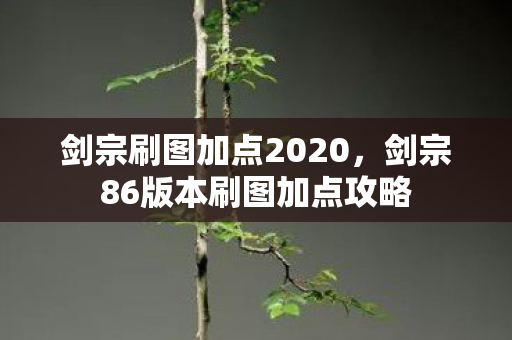 剑宗刷图加点2020，剑宗86版本刷图加点攻略