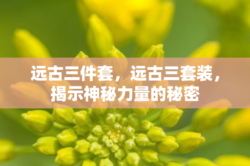 远古三件套，远古三套装，揭示神秘力量的秘密