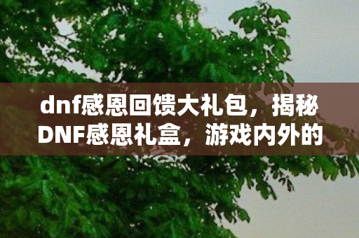 dnf感恩回馈大礼包，揭秘DNF感恩礼盒，游戏内外的惊喜与期待