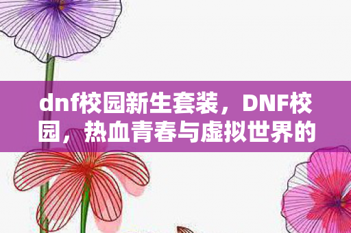 dnf校园新生套装，DNF校园，热血青春与虚拟世界的交织