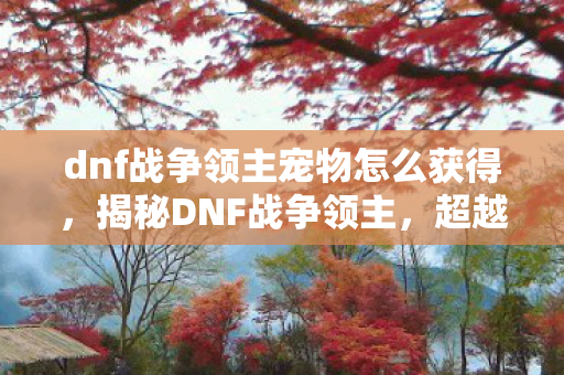 dnf战争领主宠物怎么获得，揭秘DNF战争领主，超越时代的勇士之旅