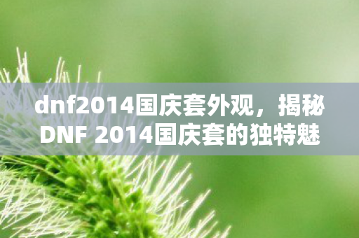 dnf2014国庆套外观，揭秘DNF 2014国庆套的独特魅力与背后故事