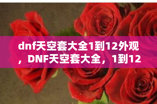 dnf天空套大全1到12外观，DNF天空套大全，1到12的华丽外观与独特属性