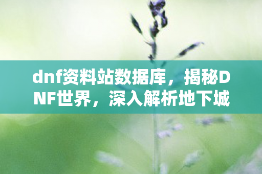 dnf资料站数据库，揭秘DNF世界，深入解析地下城与勇士资料站