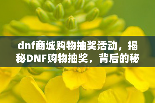 dnf商城购物抽奖活动，揭秘DNF购物抽奖，背后的秘密与策略