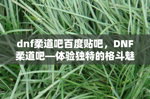 dnf柔道吧百度贴吧，DNF柔道吧—体验独特的格斗魅力
