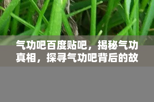 气功吧百度贴吧，揭秘气功真相，探寻气功吧背后的故事