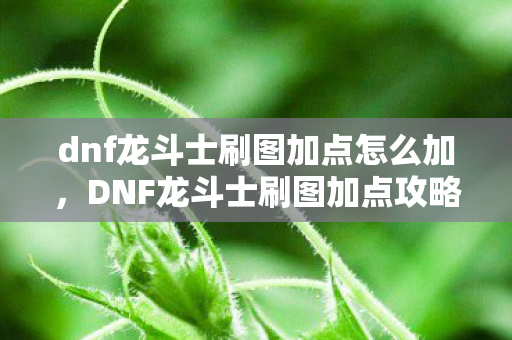 dnf龙斗士刷图加点怎么加，DNF龙斗士刷图加点攻略，打造最强战斗能力