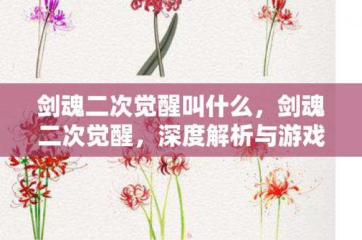 剑魂二次觉醒叫什么，剑魂二次觉醒，深度解析与游戏心得