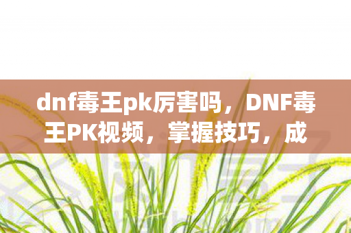 dnf毒王pk厉害吗，DNF毒王PK视频，掌握技巧，成为竞技场上的霸主
