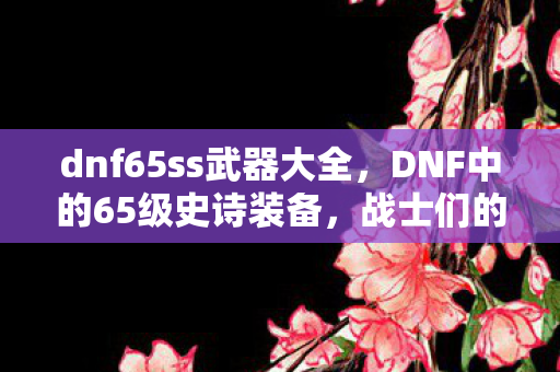dnf65ss武器大全，DNF中的65级史诗装备，战士们的荣耀象征