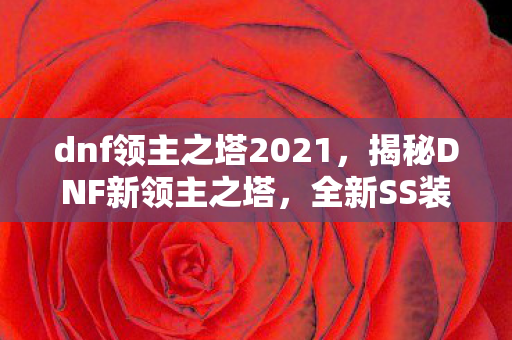 dnf领主之塔2021，揭秘DNF新领主之塔，全新SS装备更新解析