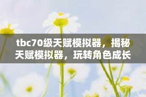 tbc70级天赋模拟器，揭秘天赋模拟器，玩转角色成长之路，体验70级天赋的无限可能