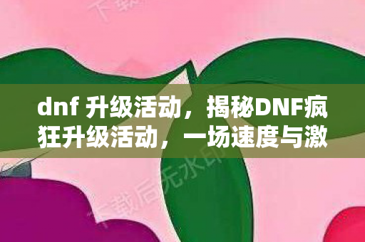 dnf 升级活动，揭秘DNF疯狂升级活动，一场速度与激情的较量