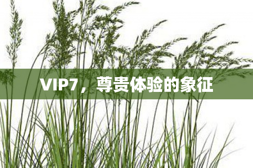 VIP7，尊贵体验的象征