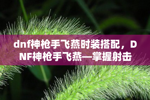 dnf神枪手飞燕时装搭配，DNF神枪手飞燕—掌握射击的艺术，勇闯地下城的传奇人物