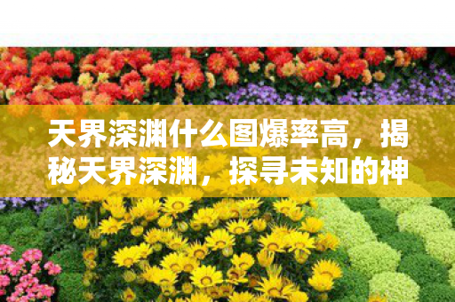 天界深渊什么图爆率高，揭秘天界深渊，探寻未知的神秘世界