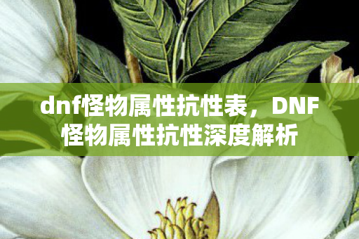 dnf怪物属性抗性表，DNF怪物属性抗性深度解析