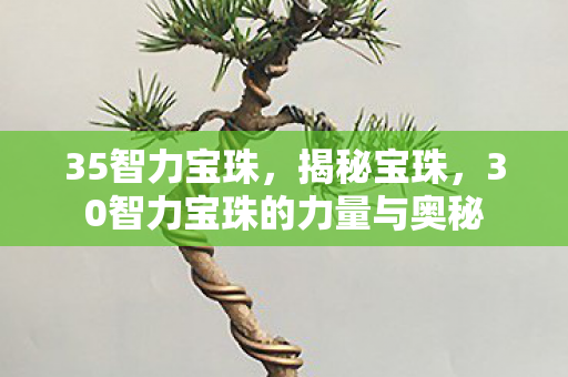 35智力宝珠，揭秘宝珠，30智力宝珠的力量与奥秘