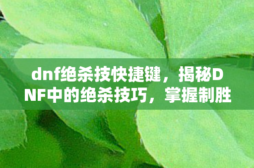 dnf绝杀技快捷键，揭秘DNF中的绝杀技巧，掌握制胜关键，成为战场霸主！