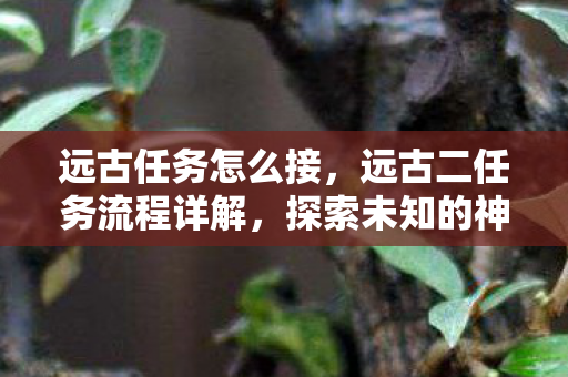 远古任务怎么接，远古二任务流程详解，探索未知的神秘之旅