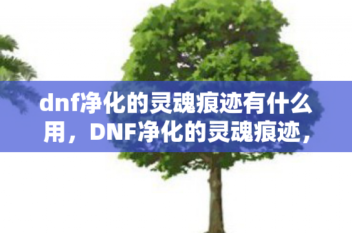 dnf净化的灵魂痕迹有什么用，DNF净化的灵魂痕迹，深入解析游戏背后的故事与情感
