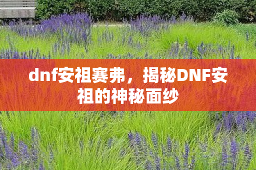 dnf安祖赛弗，揭秘DNF安祖的神秘面纱