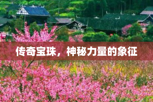 传奇宝珠，神秘力量的象征