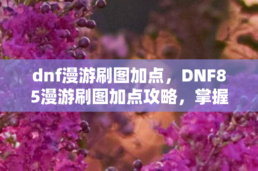 dnf漫游刷图加点，DNF85漫游刷图加点攻略，掌握核心技能，轻松提升战斗效率
