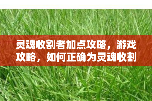 灵魂收割者加点攻略，游戏攻略，如何正确为灵魂收割者加点？