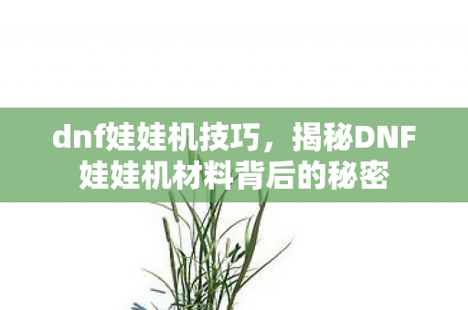 dnf娃娃机技巧，揭秘DNF娃娃机材料背后的秘密