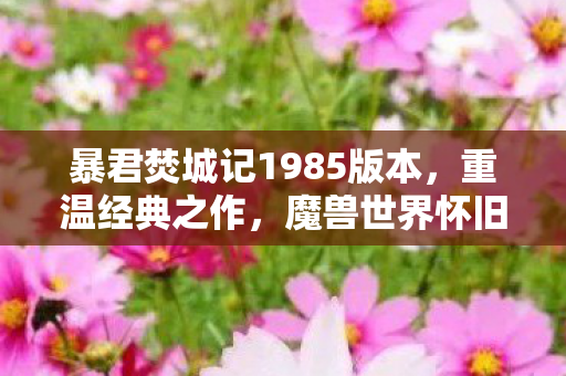 暴君焚城记1985版本，重温经典之作，魔兽世界怀旧服中的85版本解析
