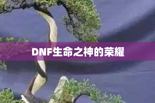 DNF生命之神的荣耀