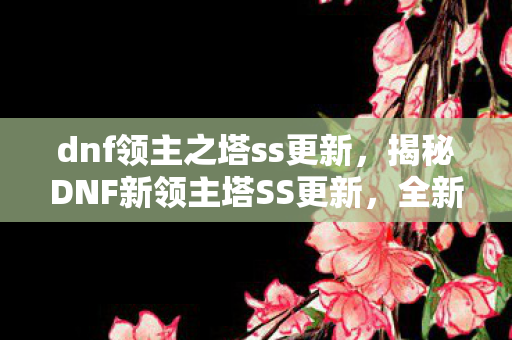 dnf领主之塔ss更新，揭秘DNF新领主塔SS更新，全新挑战与惊喜奖励等你来探索！