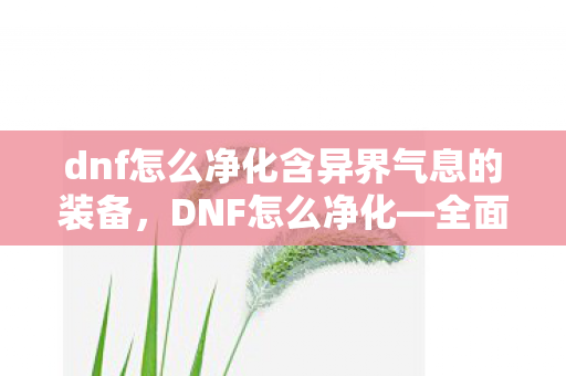 dnf怎么净化含异界气息的装备，DNF怎么净化—全面解析净化流程