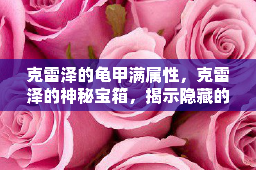 克雷泽的龟甲满属性，克雷泽的神秘宝箱，揭示隐藏的秘密