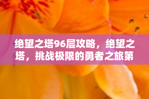 绝望之塔96层攻略，绝望之塔，挑战极限的勇者之旅第96层
