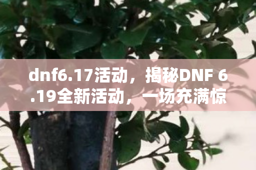 dnf6.17活动，揭秘DNF 6.19全新活动，一场充满惊喜与福利的盛宴即将开启！